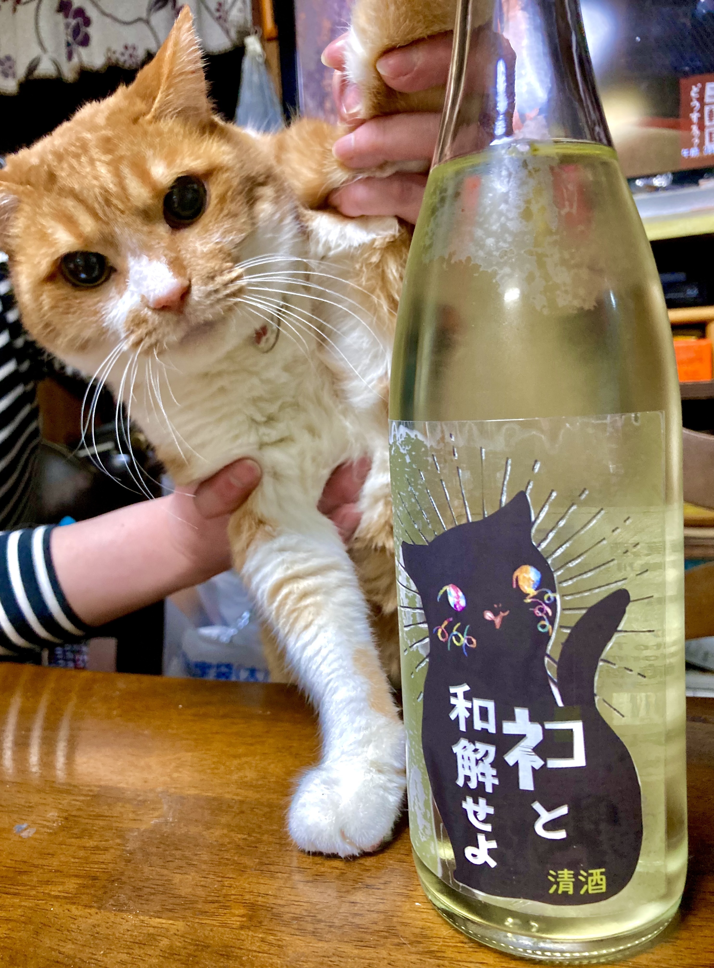 徳島県 三芳菊酒造 ワイルドサイドを歩け 三芳菊 ネコと和解せよ 7ml Kitanosaketen