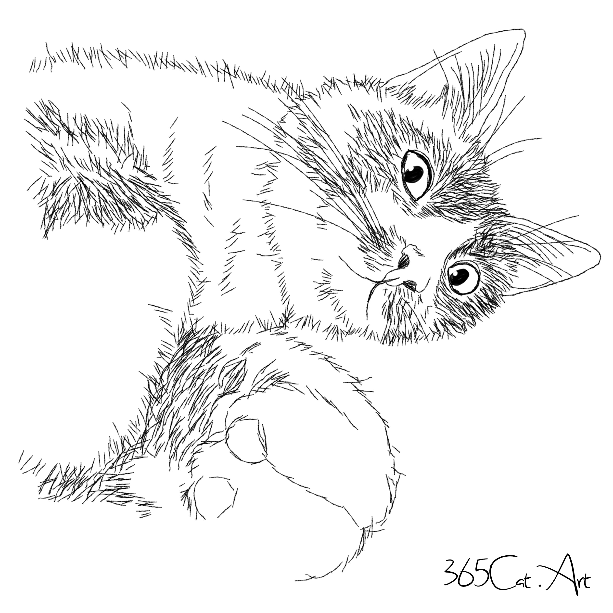 猫の手描きイラスト 似顔絵 白黒 作成 上半身 動物 人間可 猫雑貨 グッズ通販 猫や動物イラスト 似顔絵作成 365cat Art