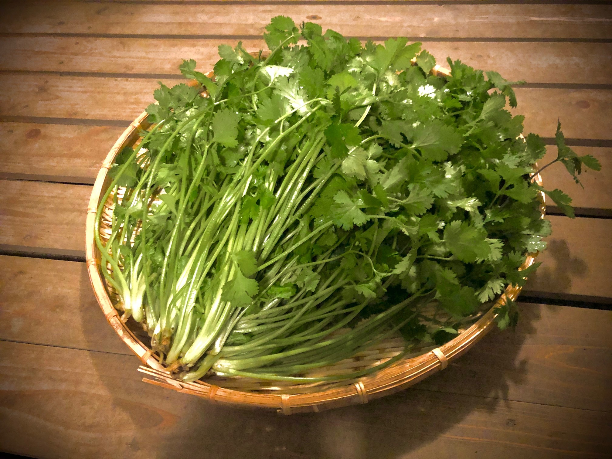 パクチー 2kg パクチー好き必見 山盛りパクチー パクチーまみれ料理 送料無料 一部地域除く Tabete レスキュー掲示板