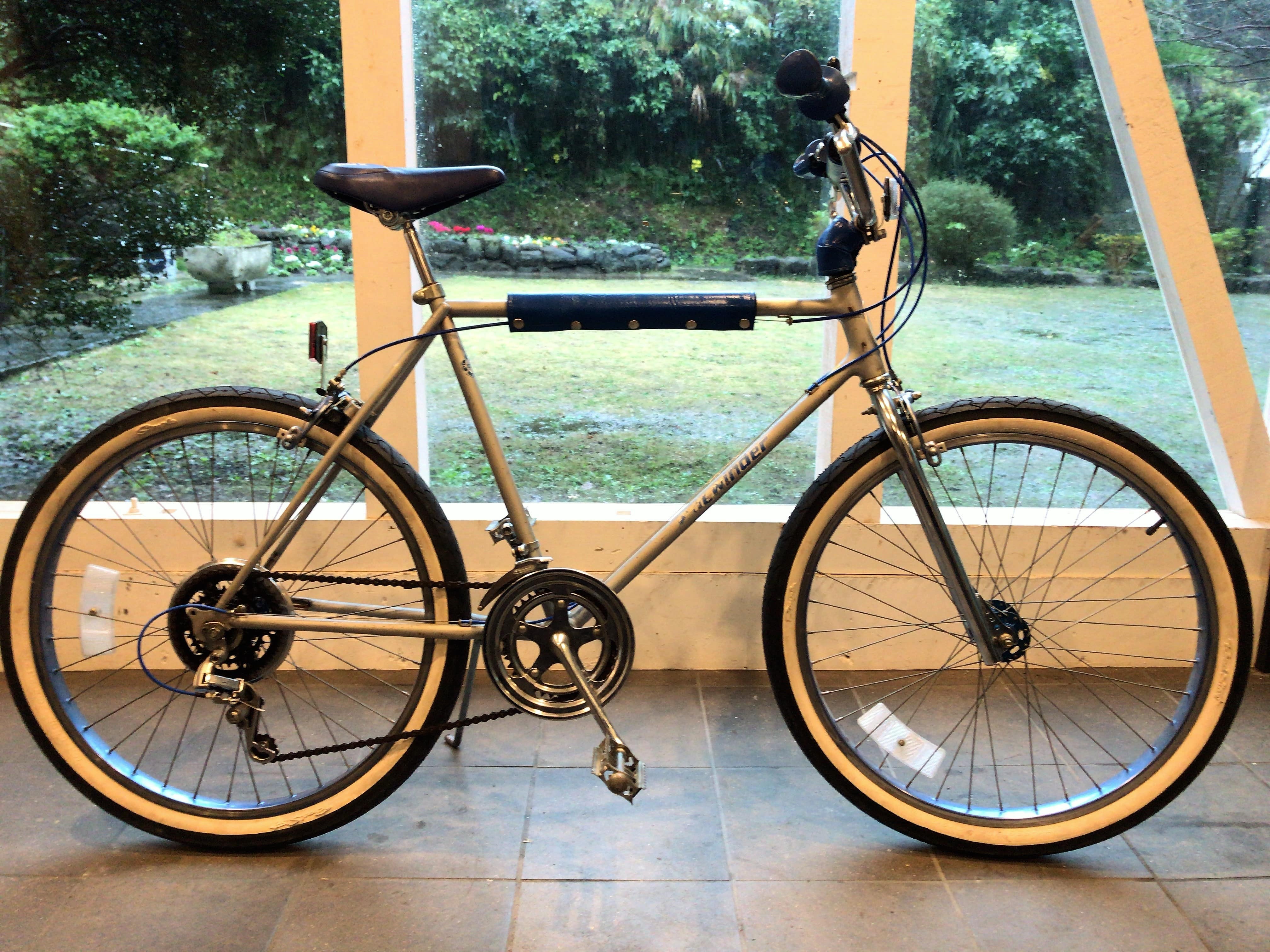 schwinn sidewinder bike