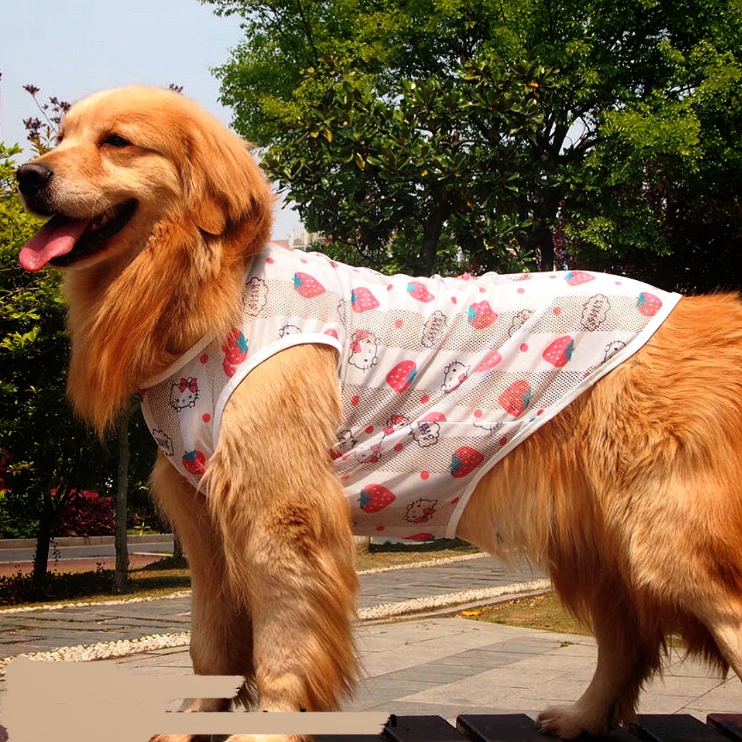 犬服 ペット服 中型犬 大型犬 メッシュ タンクトップ 3xl 8xl Ronkichimaru ロンキチマル かわいい犬服 猫服 ペット服