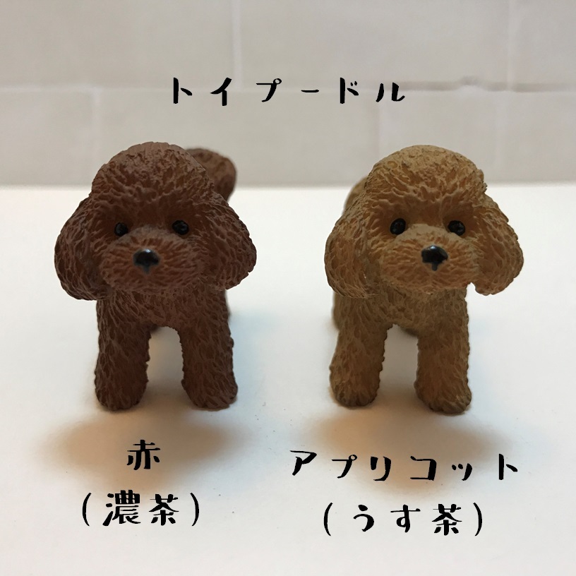 おしりマグネット トイプー赤 薄茶 雑貨屋elufe おしりマグネット トイプー赤 薄茶 雑貨屋elufe