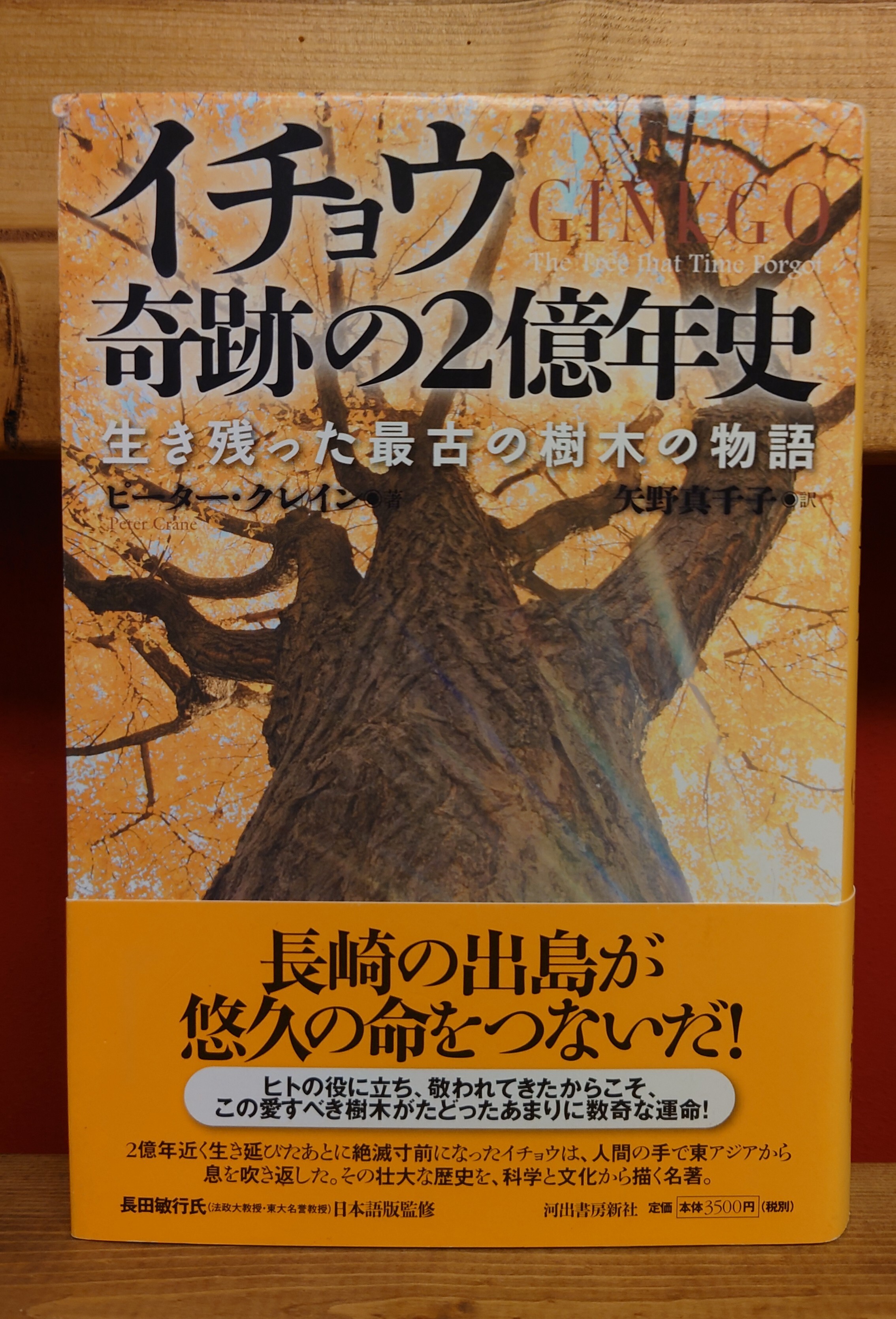 イチョウ奇跡の2億年史 生き残った最古の樹木の物語 弥生坂 緑の本棚