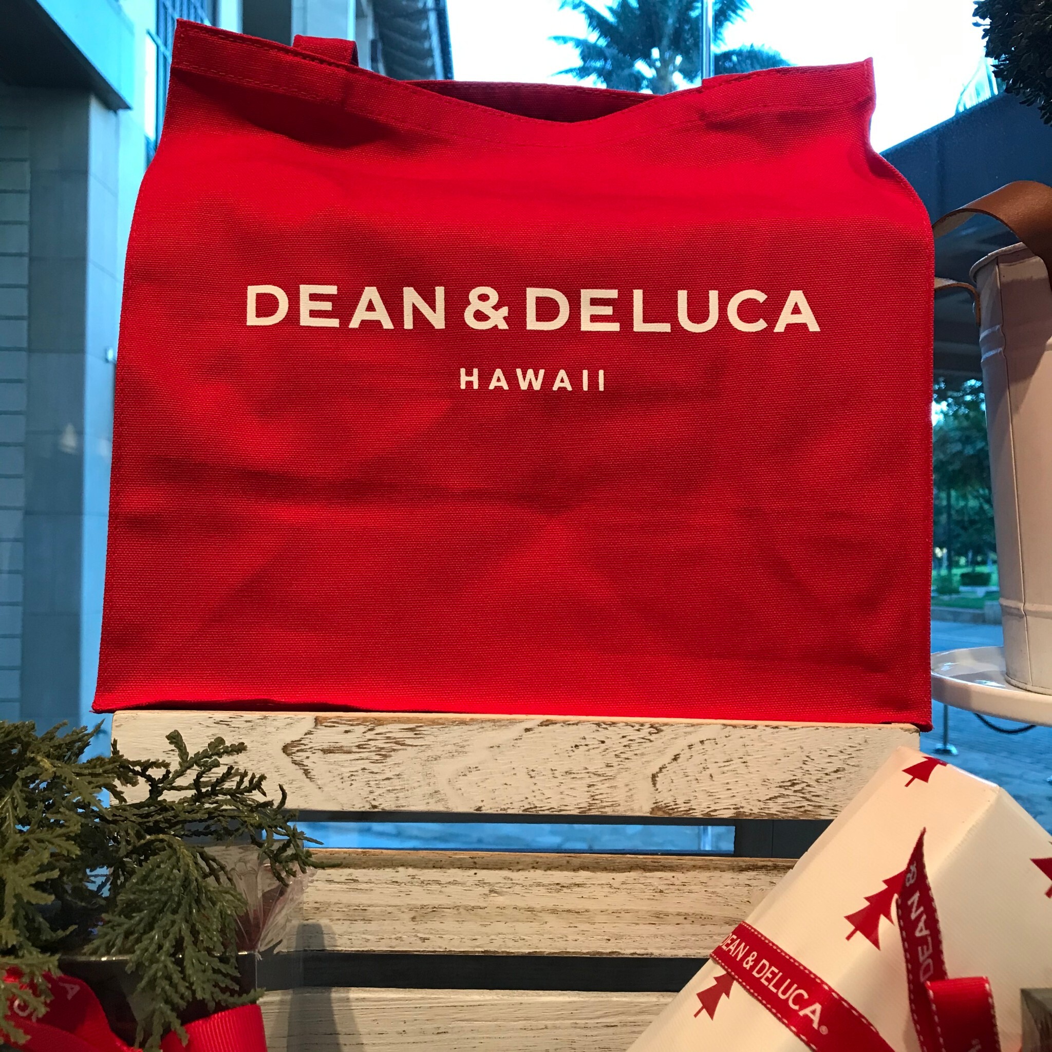 キャンバストート Canvas Tote Dean Deluca ディーン デルーカ ハワイ リッツカールトン限定 Big Mahalo Honolulu