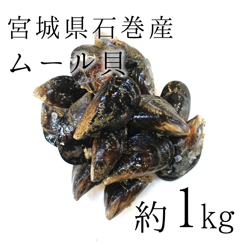 ムール貝 中サイズ 三陸産 宮城産 他 計1kg1個 30g前後 国産ムール貝1kg 冷蔵 豊洲直送 Okawari 豊洲直送の高級海産物をお届け
