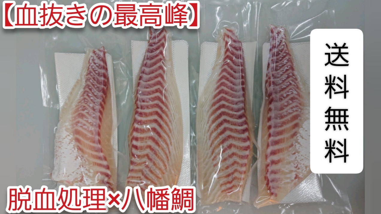 養殖臭がしない脱血処理の鯛 Base Mag