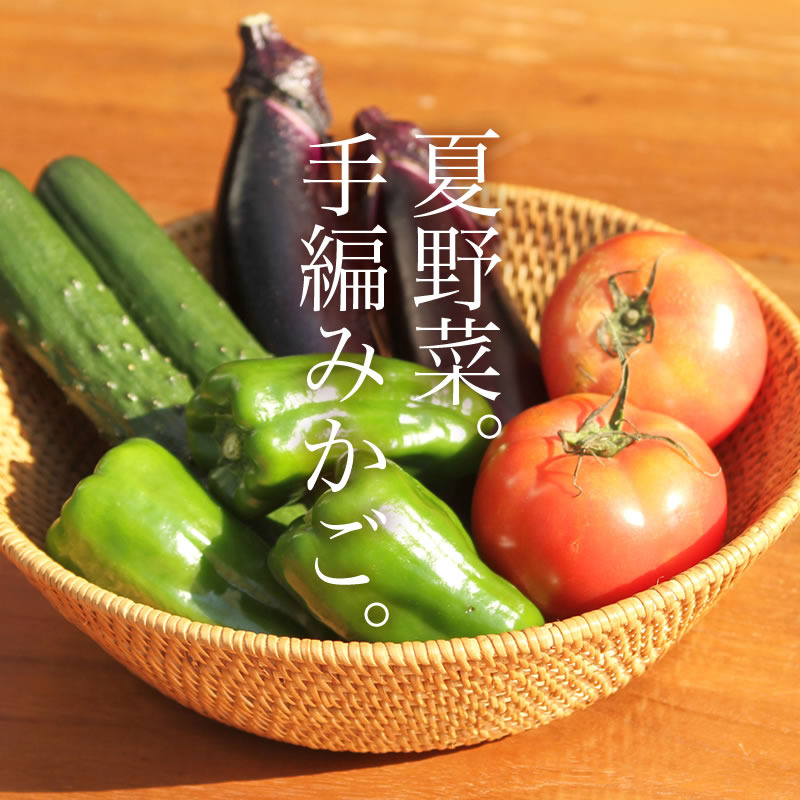 夏は夏野菜を 冬はこたつにミカンを 年中使える手編みカゴ Base Mag