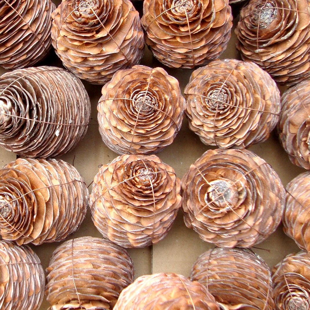 ヒマラヤスギの球果でお部屋のオリジナルデコレーションを作ってみよう Base Mag