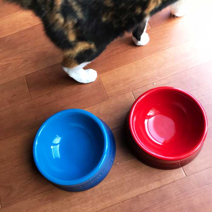 猫の餌皿におすすめ Le Creuset ル クルーゼ ペットボウル Base Mag