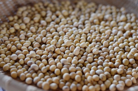 味噌 みそ って 何からできているの Base Mag