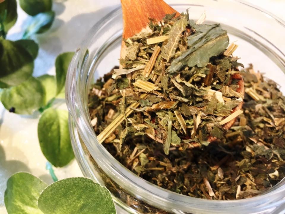 花粉症対策としておすすめのハーブ ネトル をご紹介 植物の力でセルフケアをはじめませんか Base Mag 花粉症対策としておすすめのハーブ ネトル をご紹介 植物の力でセルフケアをはじめませんか Base Mag