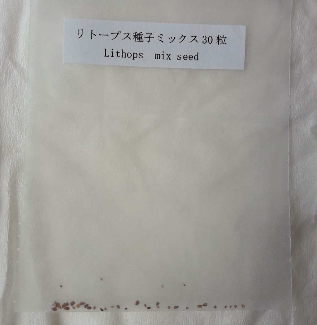 すべての美しい花の画像 トップ100リトープス 種まき 時期