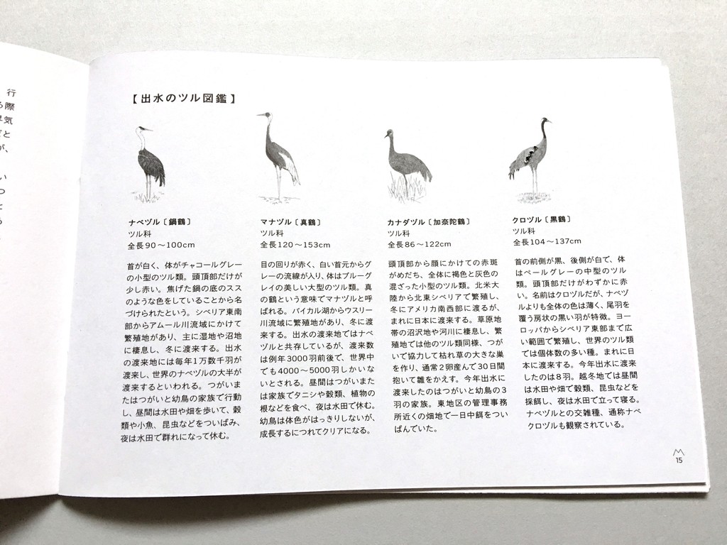 渡り鳥 をテーマにした小冊子 表紙のツルに目を奪われてしまいました Base Mag 渡り鳥 をテーマにした小冊子 表紙のツルに目を奪われてしまいました Base Mag