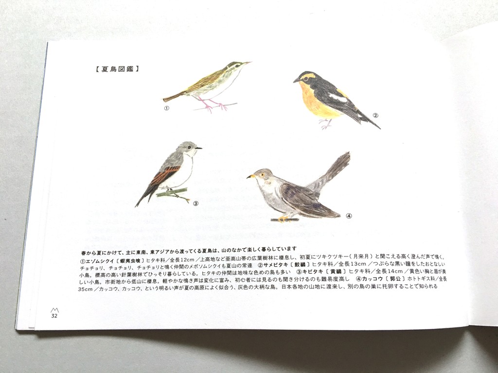 渡り鳥 をテーマにした小冊子 表紙のツルに目を奪われてしまいました Base Mag 渡り鳥 をテーマにした小冊子 表紙のツルに目を奪われてしまいました Base Mag