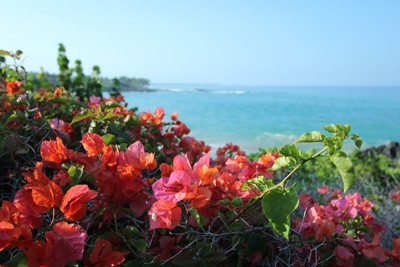 南国の花をイメージした鮮やかなピンクのフリンジビキニで最高の夏を過ごしたい Base Mag