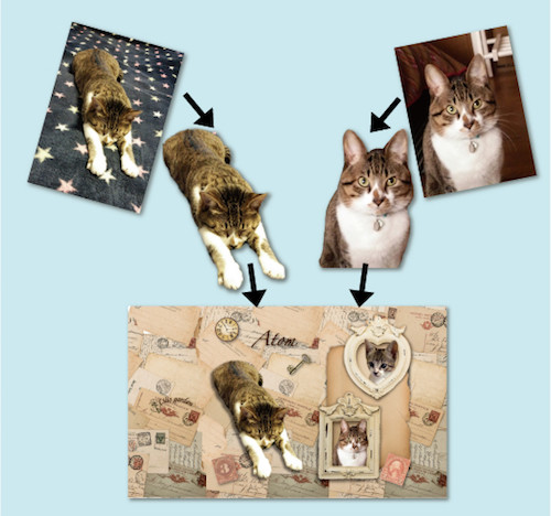 ペットの写真であなただけのオリジナルスマホケース作れます Base Mag