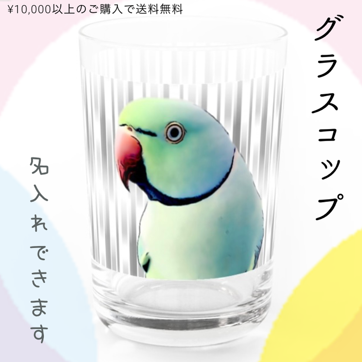 名入れ グラス ワカケホンセイインコ 鳥グッズ インコグッズ コップ プレゼント ギフト Anaepi Inco