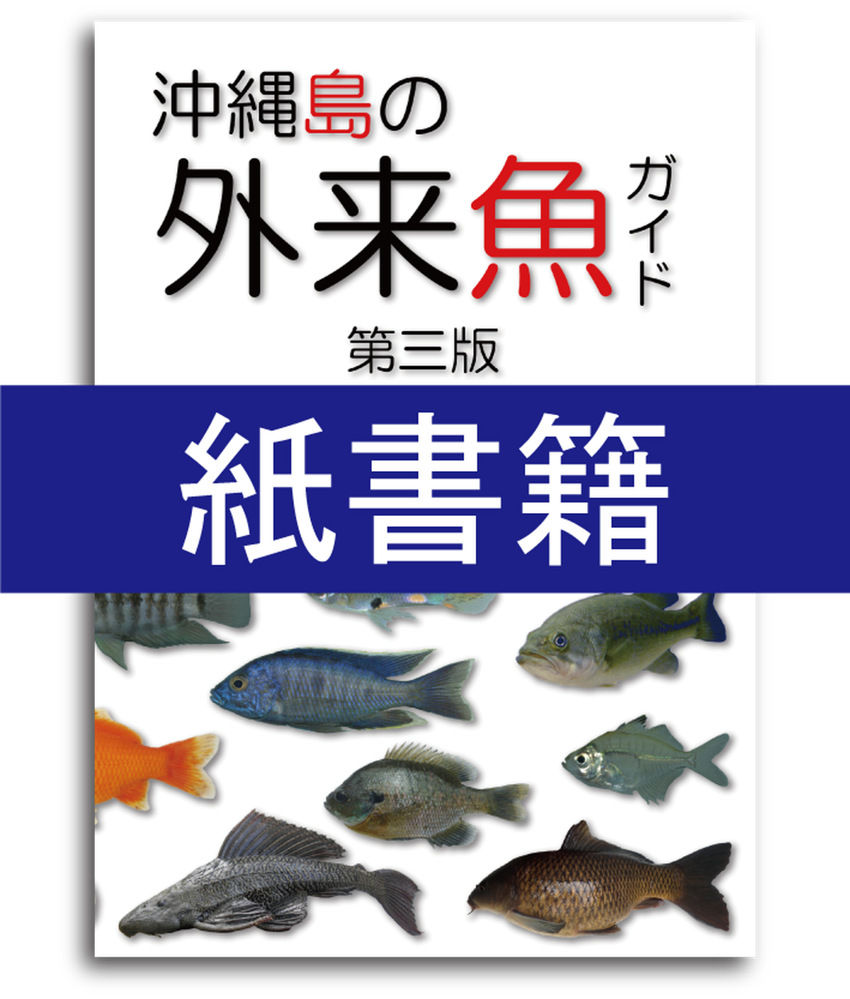 新版紙書籍 沖縄島の外来魚ガイド第三版 しまづ外来魚研究所オンラインショップ