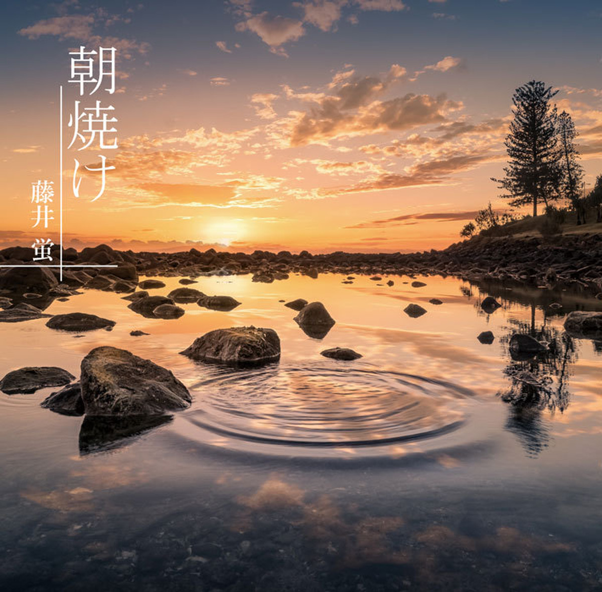 藤井 蛍1stminialbum 朝焼け 藤井蛍 ネット通販