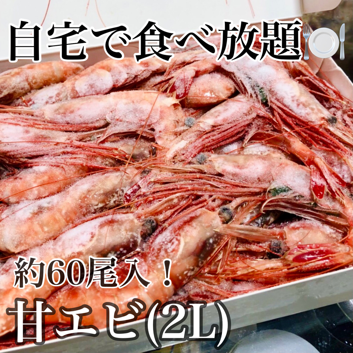 甘エビ 60尾前後入 1kg 山海珍味 冷凍食材 柴水