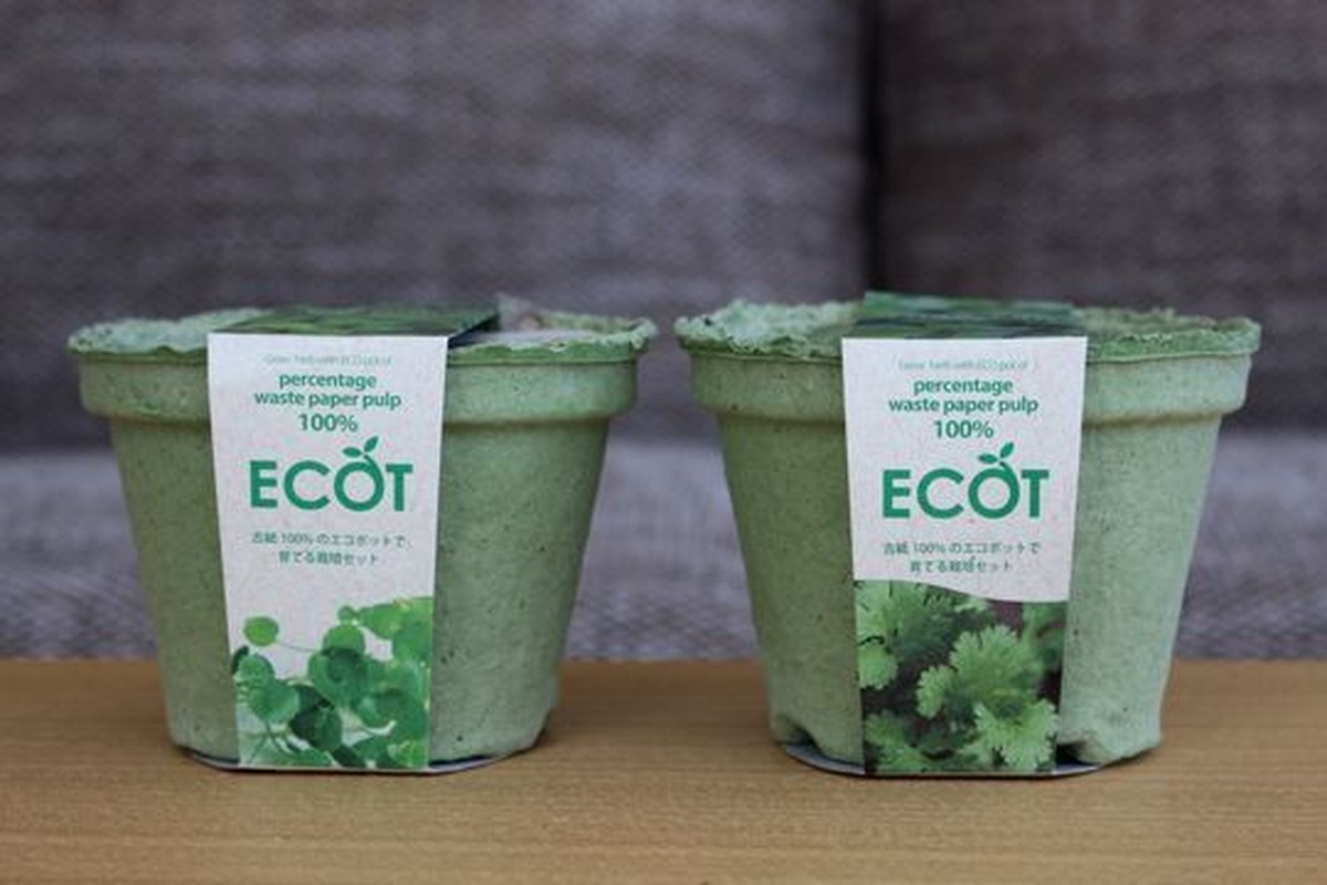 野菜の栽培キット Ecot Mag Online Store