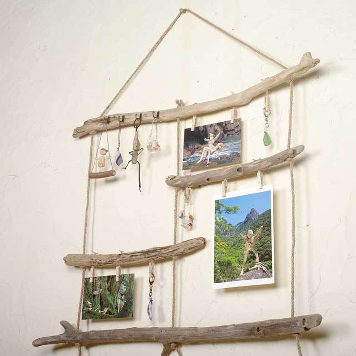 流木の小物掛け アクセサリーハンガー 流木フォトフレームー４２ Online Shop 森のもののけ