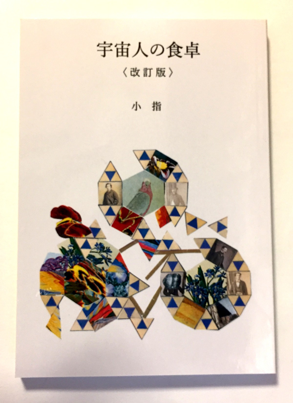 小指 宇宙人の食卓 改訂版 Tarahumara