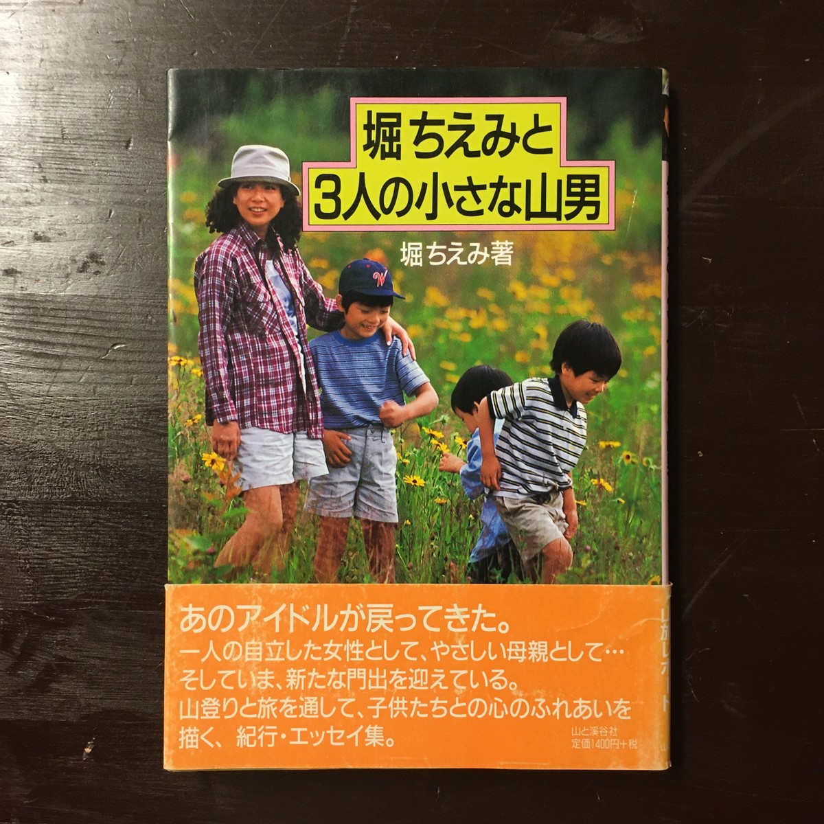 堀ちえみ 堀ちえみと3人の小さな山男 ながいひる