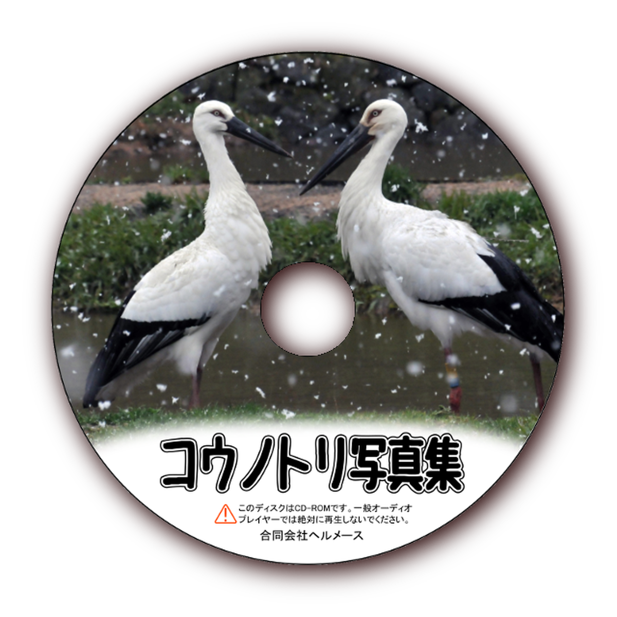 送料無料 コウノトリ写真集cd かどの駄菓子屋 城崎温泉店 オンラインショップ