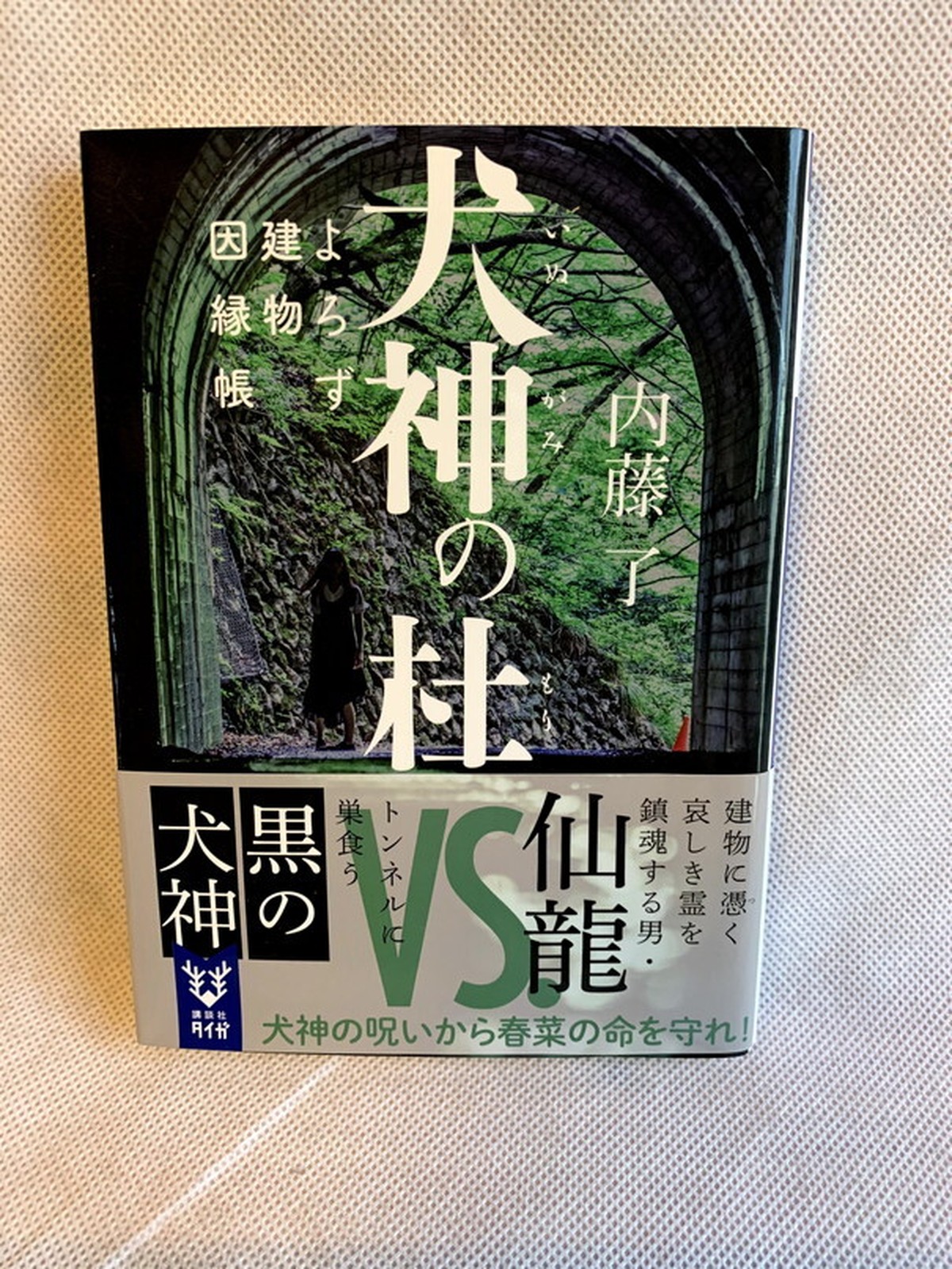 犬神の杜 よろず建物因縁帳 講談社タイガ Usedbook151e