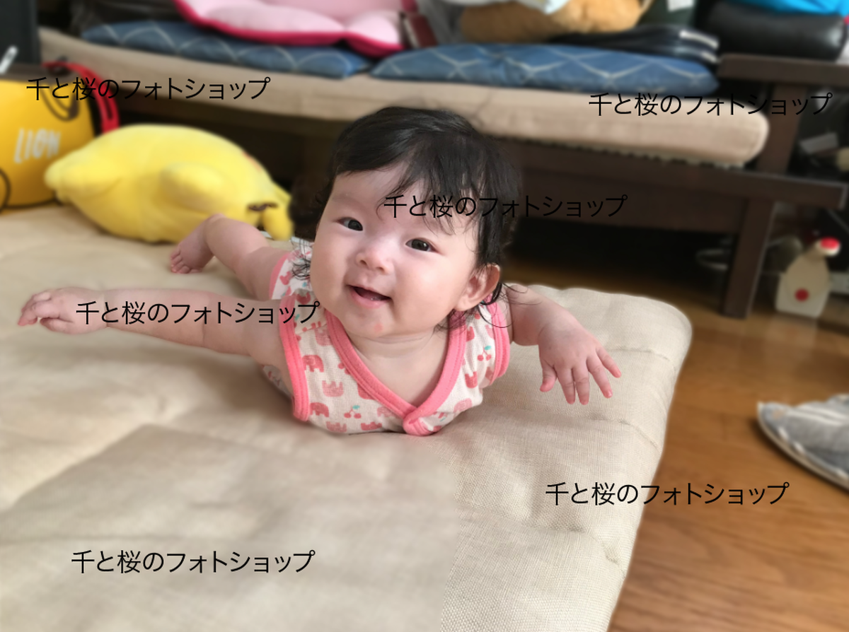 飛行機ブーン Sakura 千と桜のフォトショップ