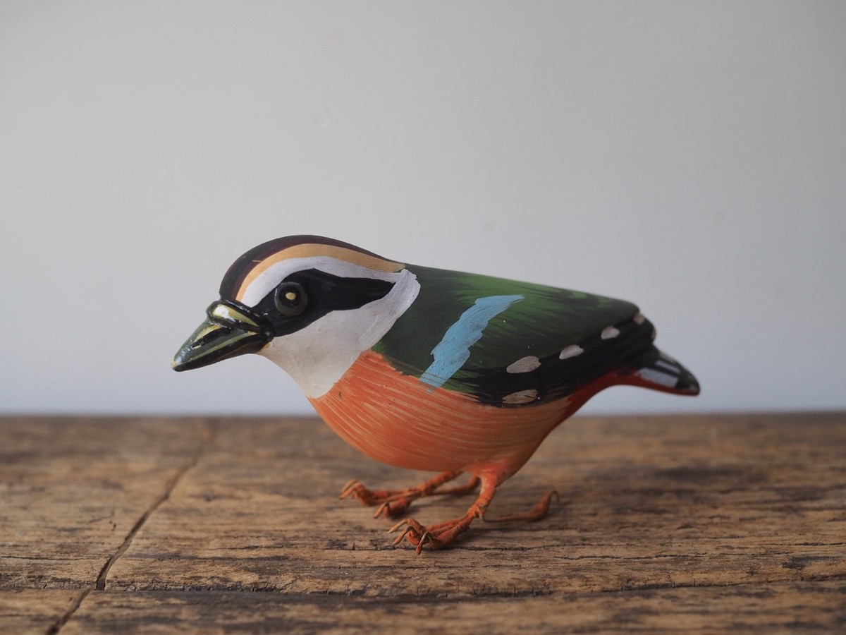 Indian Bird Indian Pitta ヤイロチョウ Chahat Online Store