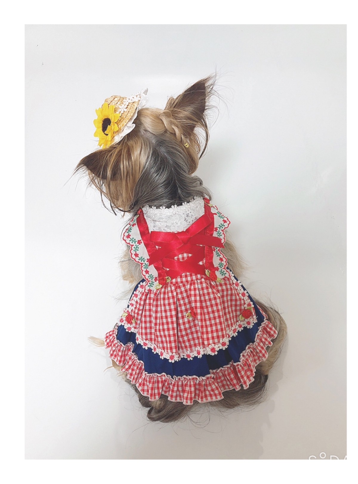 犬服オーダー チロリアン風ノースリーブワンピース Dogdress Ari Ra