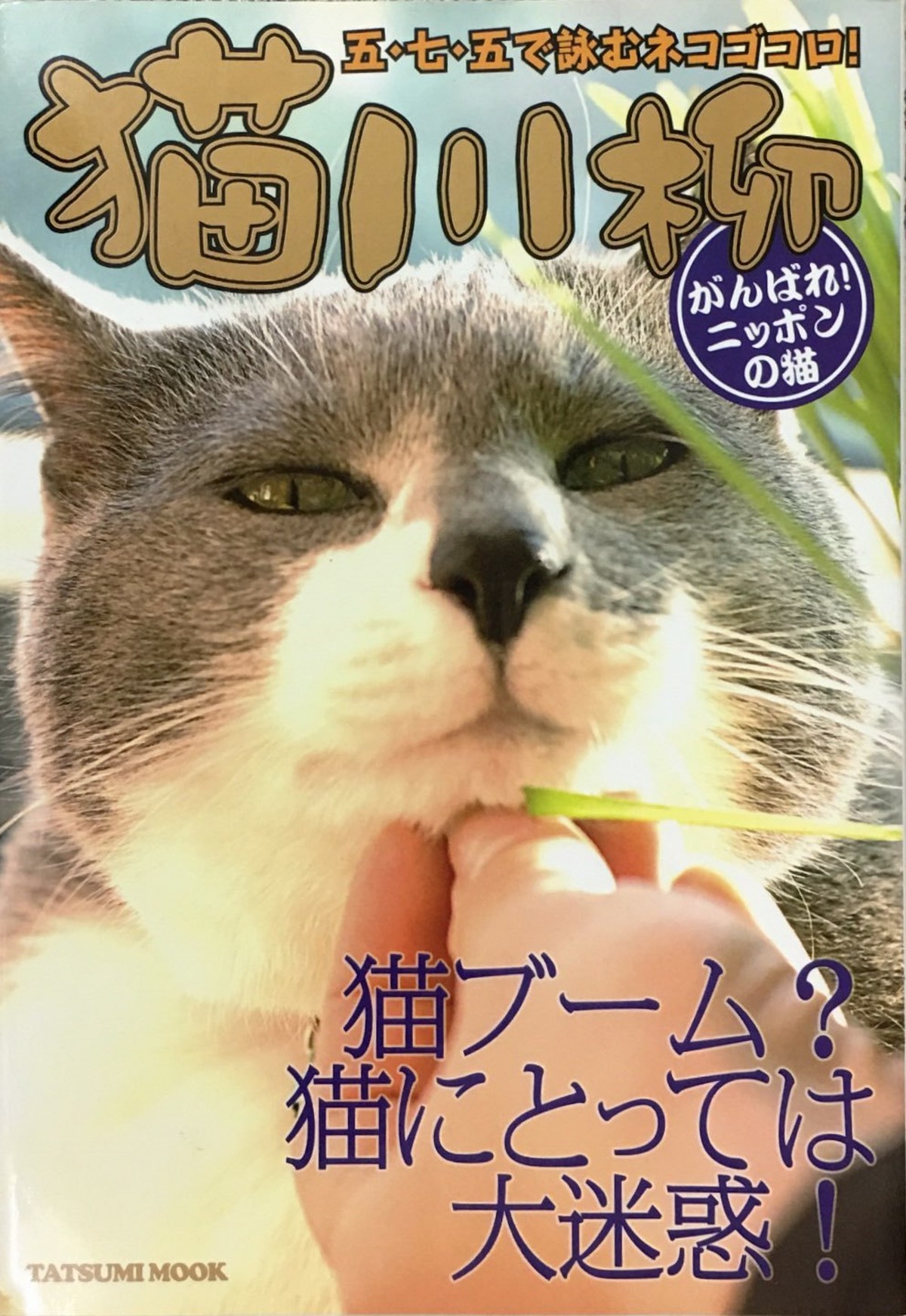 猫川柳ガンバレニッポンの猫 猫本サロン 京都三条サクラヤ