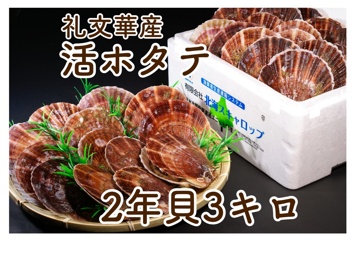 豊浦町 礼文華産活ホタテ ２年貝 ３キロ 北海スキャロップ 噴火湾とようら観光協会