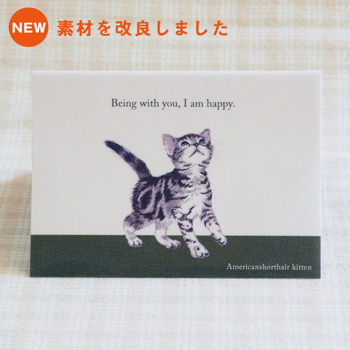 猫 障害者手帳カバー 東京都サイズ アメリカンショートヘア イラスト B 猫汕雑貨店