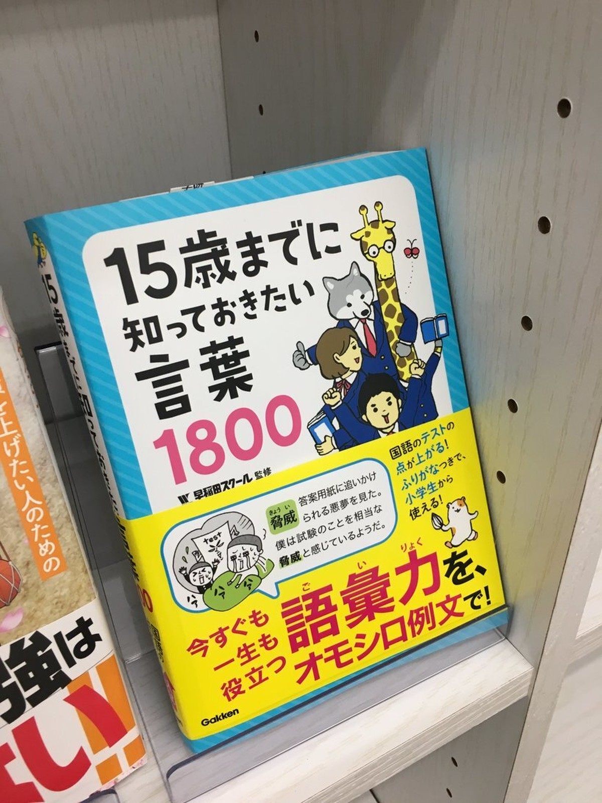 15歳までに知っておきたい言葉1800 本屋 草深堂 Soshindo Base店