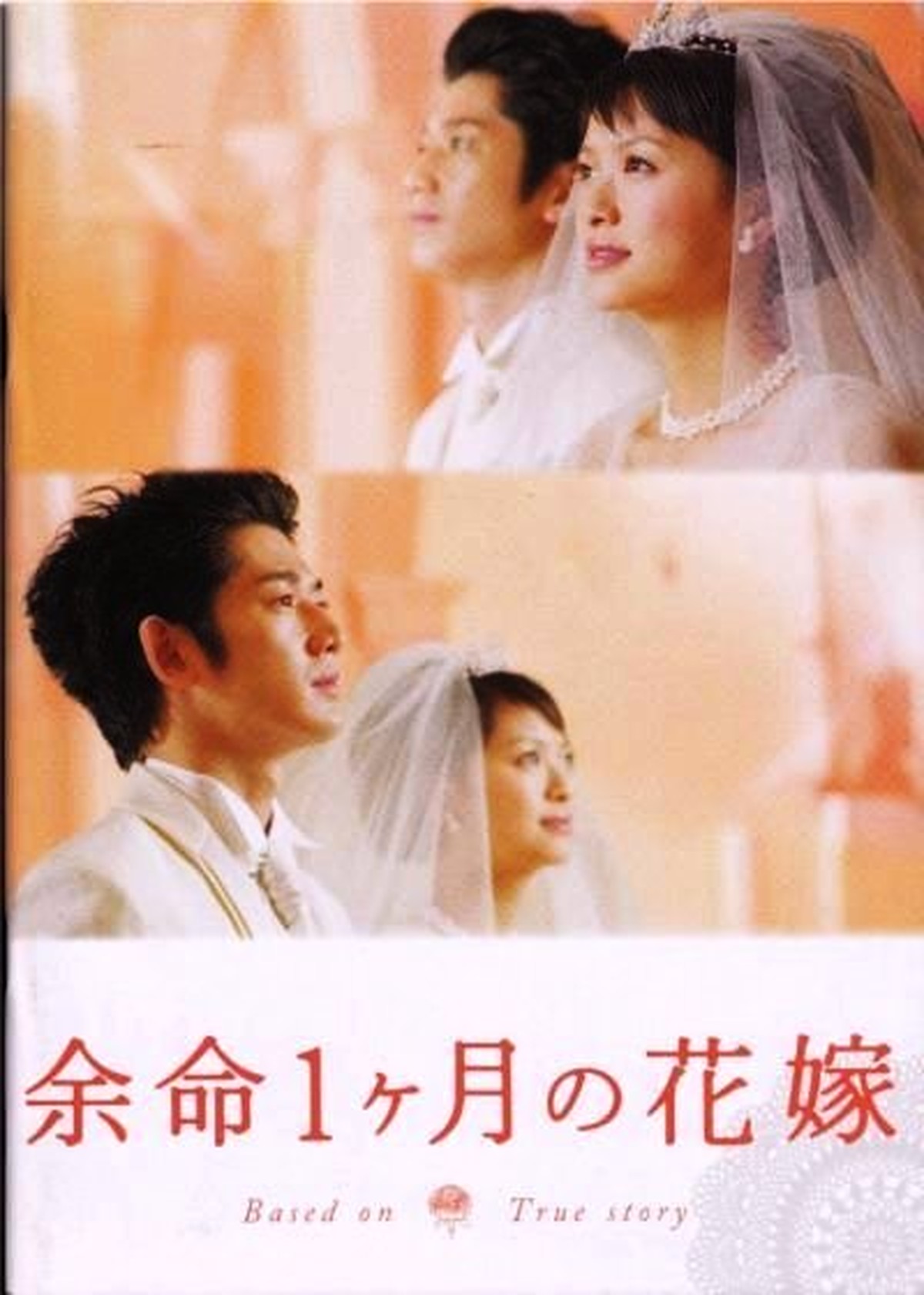 余命１ヶ月の花嫁 映画 パンフレット 中古 Tomonet3858