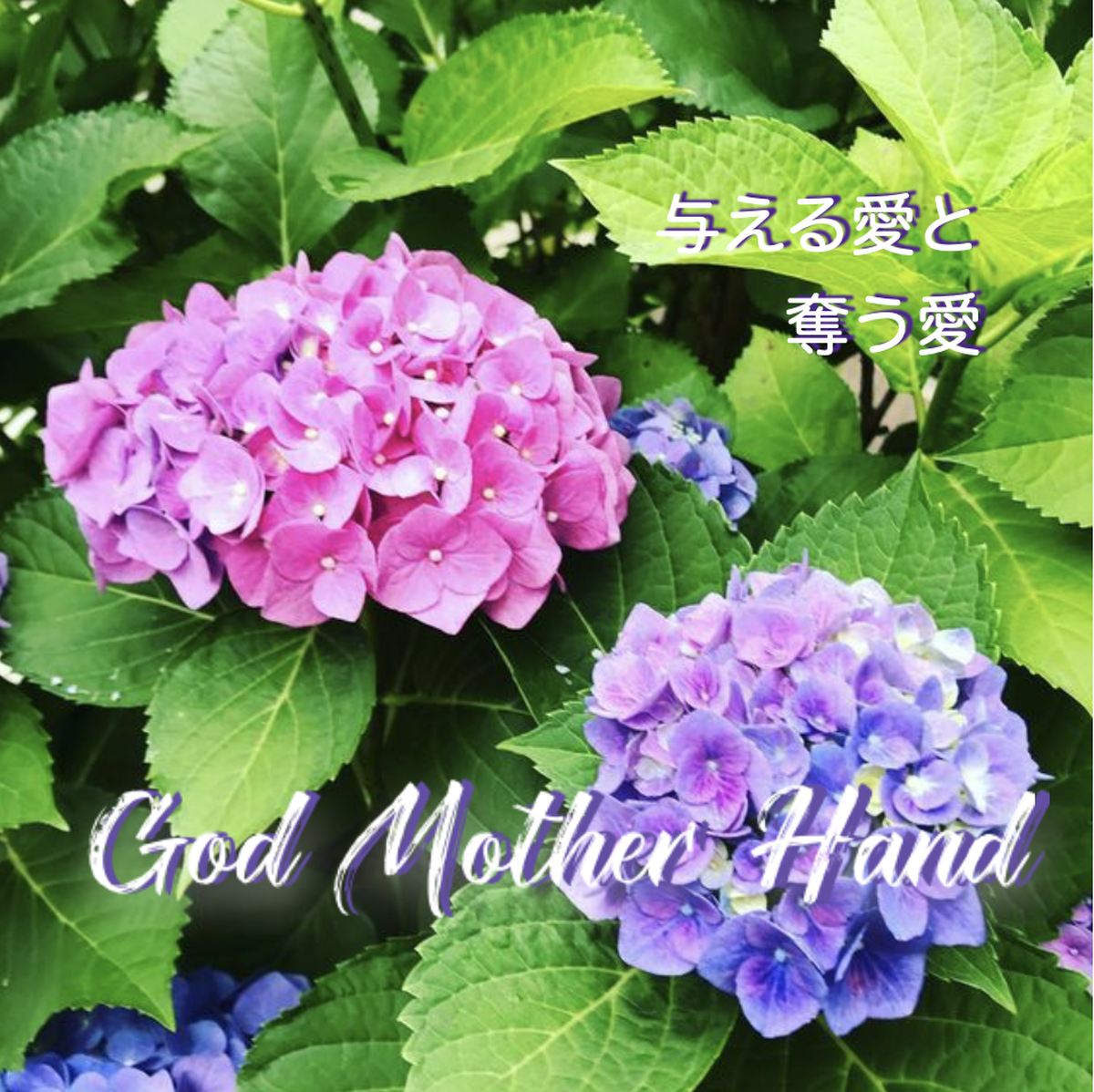 与える愛と奪う愛 God Mother Hand Prayer Music Shop