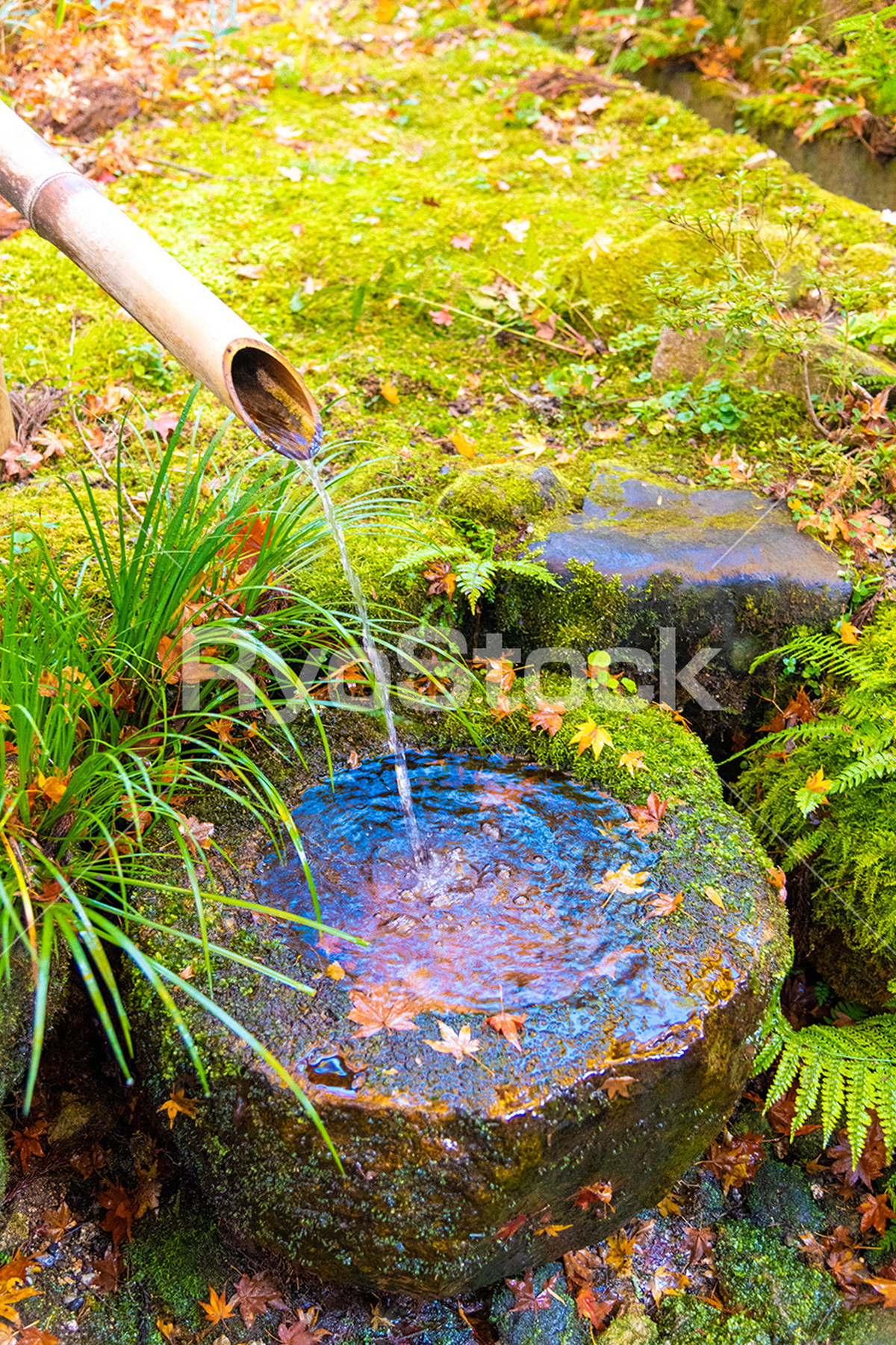 日本庭園 ししおどしの写真素材です Japanese Garden Photo Ryostock デジタルコンテンツ販売