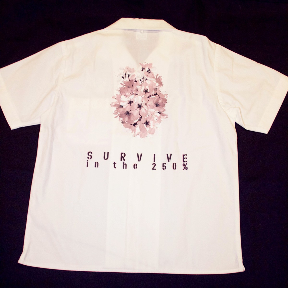数量限定 香月雷電イラスト オープンカラーシャツ オフホワイト United Athle 1759 01 Limited Quantity Open Collar Shirt Illustrated By Kabuki Raiden United Athle 1759 01 Off White Livehouse Nano