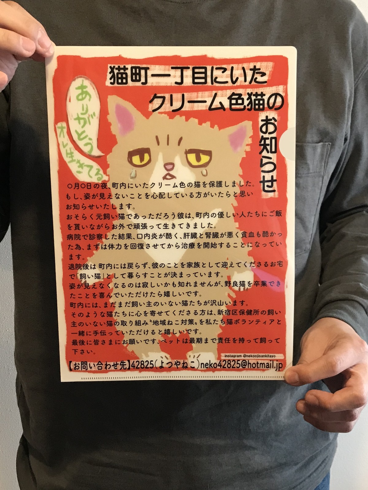 ありがとう オレ 生きてる クリーム色の猫の壁クリアファイル ４２８２５ よつやねこ