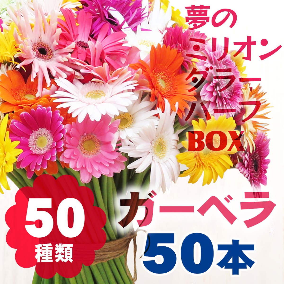 ガーベラ 50本 50種類 夢のミリオンダラー ハーフbox 50本すべて違う 色 カタチ いろいろ フラワーロス支援 スマイルフラワープロジェクト