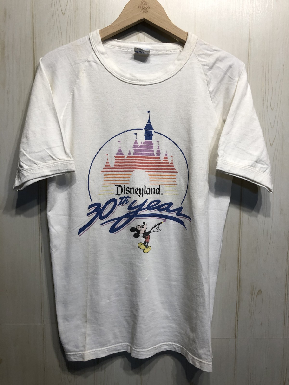 Disney ロゴtシャツ 80年代 ビンテージ シリーズ 情熱古着店