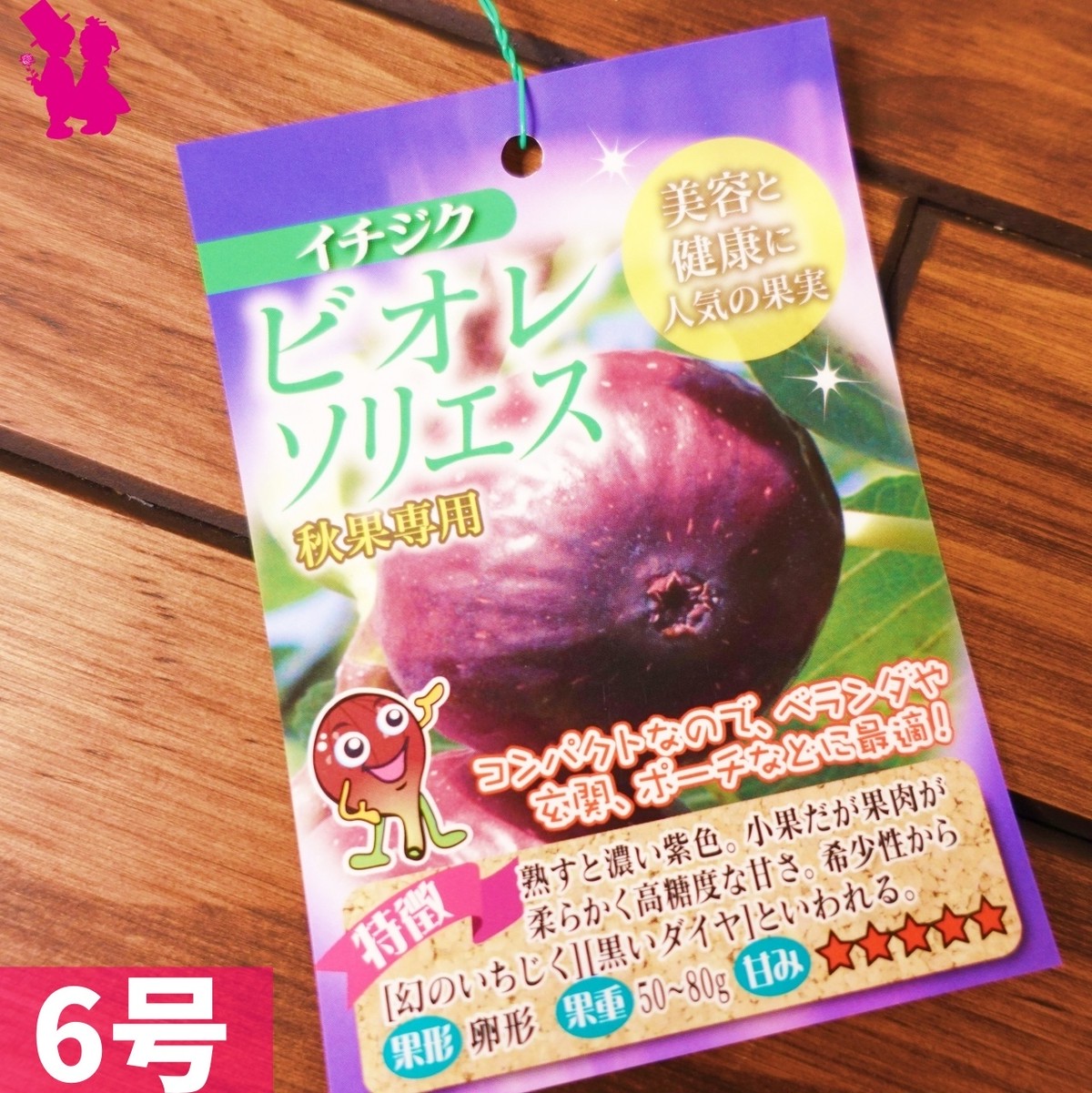 イチジク6号鉢 ビオレ ソリエス2年生大苗 ラベル付き 園芸農家イシヅキちゃんねるショップ イチジク6号鉢 ビオレ ソリエス2年生大苗 ラベル付き 園芸農家イシヅキちゃんねるショップ