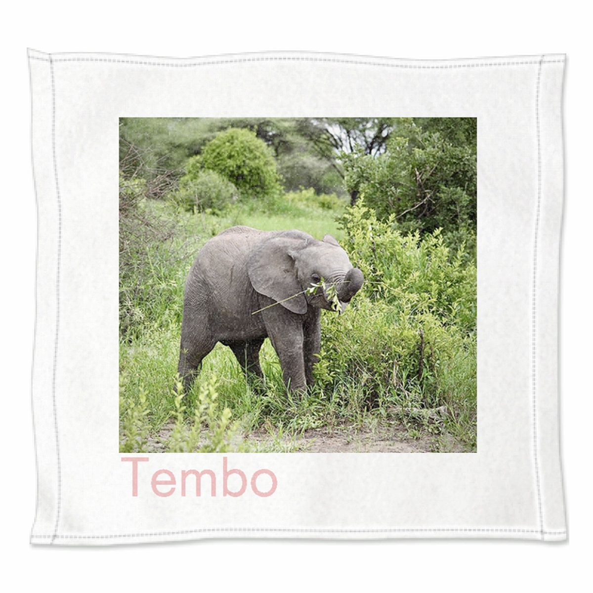 ミニタオル アフリカゾウ Tembo テンボ タンザニア 動物 Tシャツ オリジナル 通販 ファッション 雑貨 マスク おしゃれ