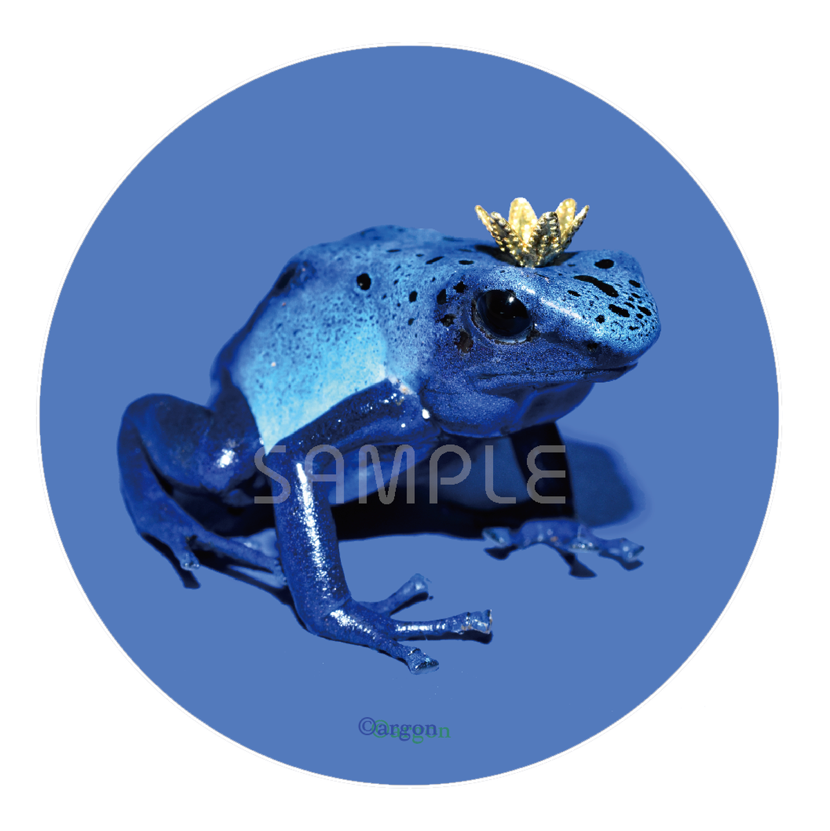 コバルト王子のコインケース Argon