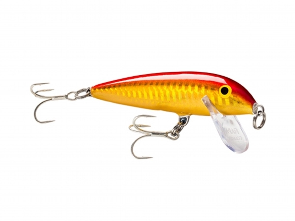 Rapala ラパラ Count Down Abachi Cda9 Fishing Tackle Blue Marlin