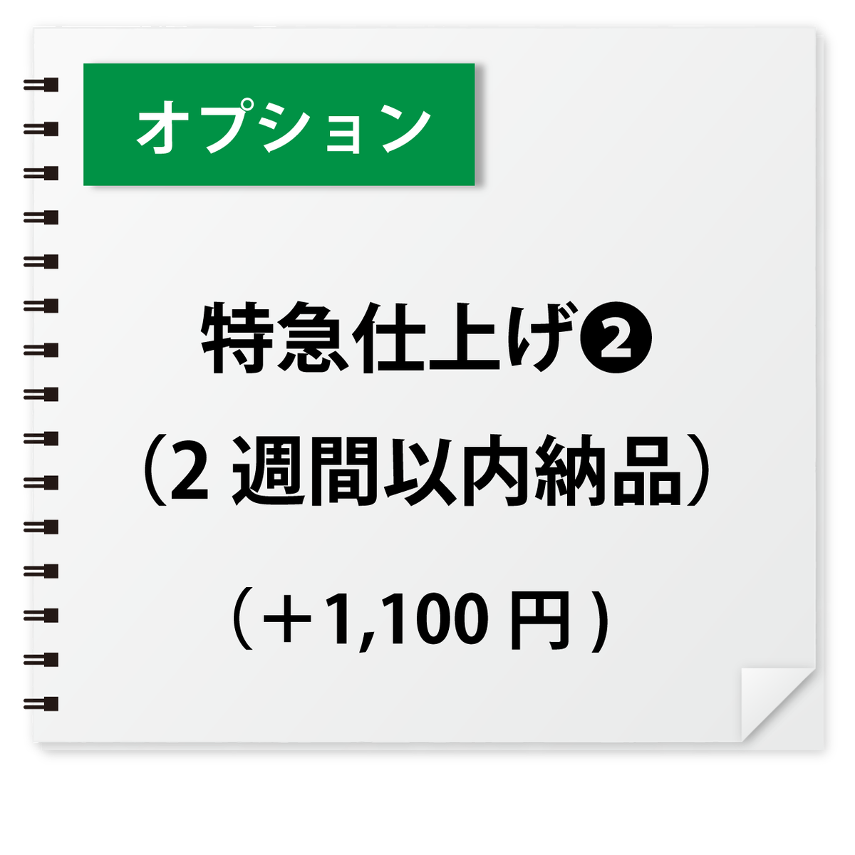 オプション 特急仕上げ 2週間以内納品 1 100円 似顔絵のお店tomo T Studio