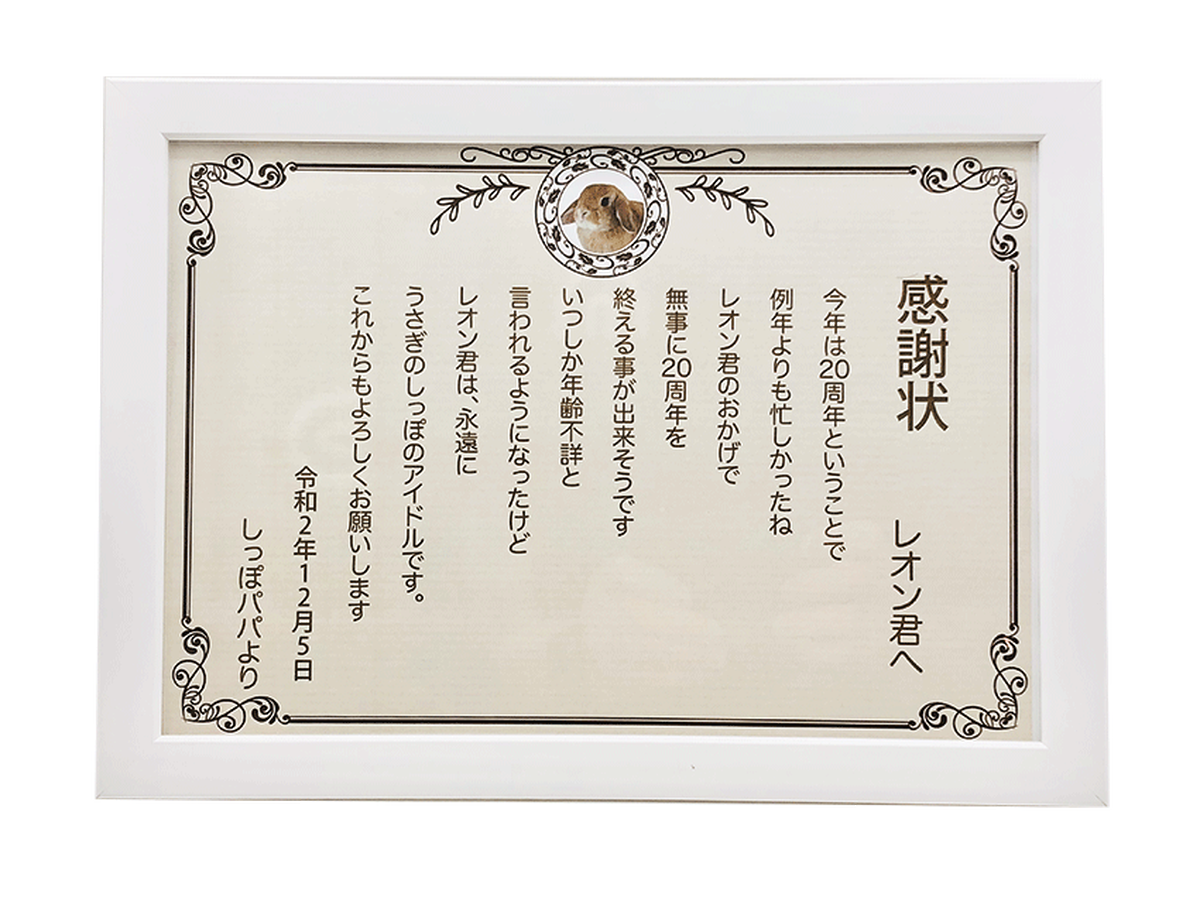 ありがとう うさぎの感謝状 うさフェスタ Webうさ